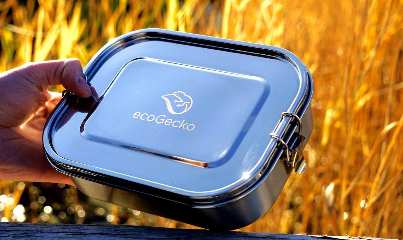Set "Bärenhunger" - ecoGecko® 